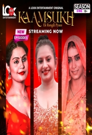 Kaam Sukh 2025 LookEnt S01E04T06 Web Series Download