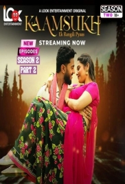 Kaam Sukh 2025 LookEnt S02E05T07 Web Series Download