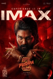 Pushpa 2 The Rule 2024 Hindi Dubbed Movie HDRip Download